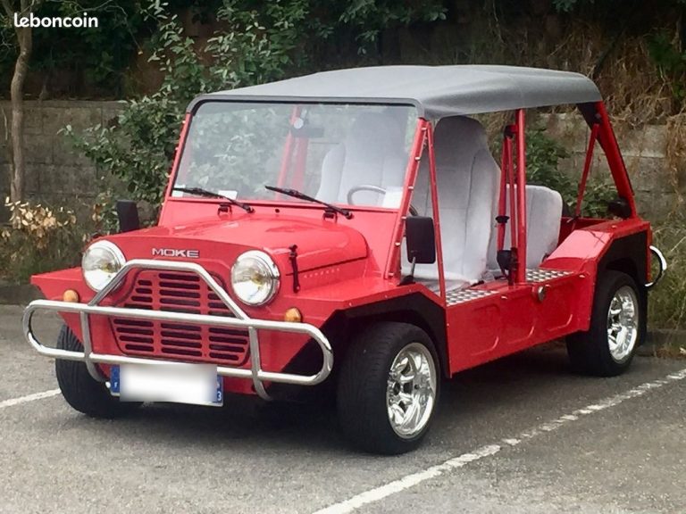 MINI-MOKE